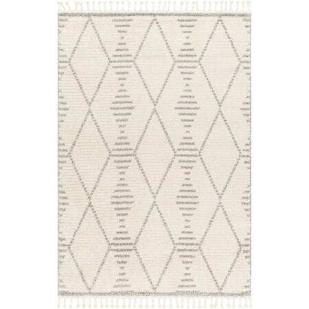 Valencia VLC-2318 Area Rug , With Fringe